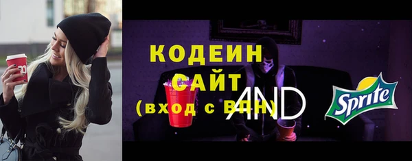 СК Пересвет