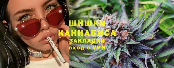 СК Пересвет