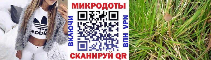 Псилоцибиновые грибы ЛСД  kraken рабочий сайт  Надым  сколько стоит 