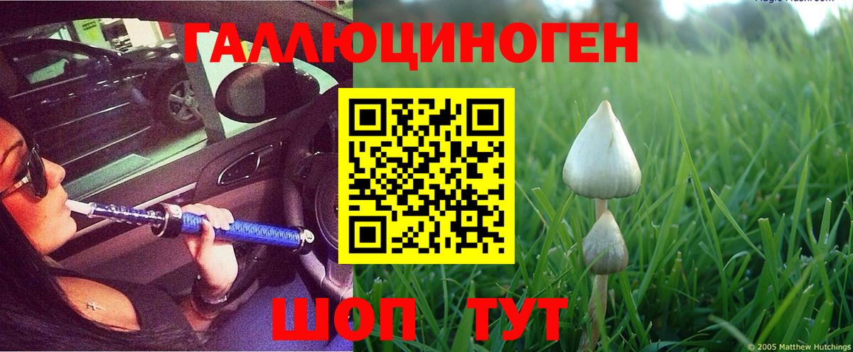 Галлюциногенные грибы Magic Shrooms Надым